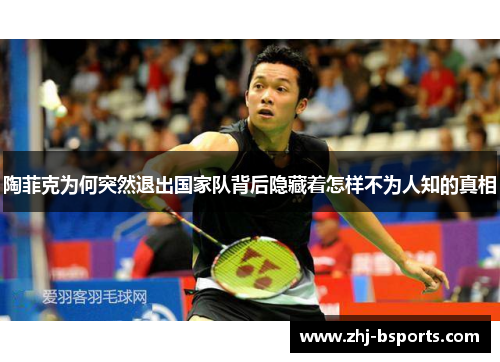 陶菲克为何突然退出国家队背后隐藏着怎样不为人知的真相 陶菲克为何突然退出国家队背后隐藏着怎样不为人知的真相