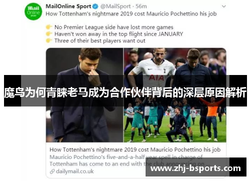 魔鸟为何青睐老马成为合作伙伴背后的深层原因解析