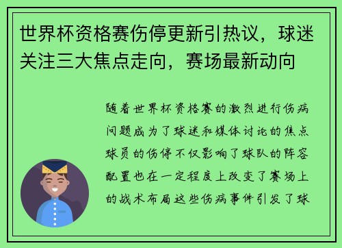 世界杯资格赛伤停更新引热议，球迷关注三大焦点走向，赛场最新动向